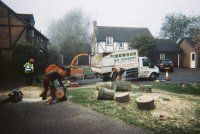 tree surgery in high wycombe